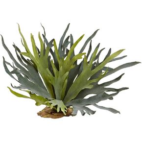 Nearly Natural 21in. Staghorn Fern (Set of 2)