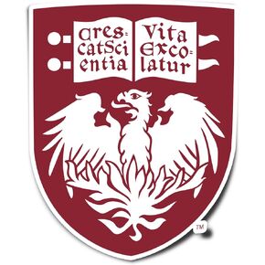 Desert Cactus The University of Chicago Sticker UChicago Maroons Vinyl Decal Laptop Water Bottle Car Scrapbook (IND 00007A)