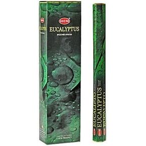 Eucalytpus 16 Inches Tall - 60 Jumbo Sticks Box - HEM Incense