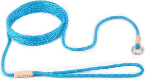 Alvalley Nylon Slip Leashes with Braided Leather - Adjustable Pet Lead for Dogs - Soft, Smooth Leash for Training & Walking - Durable, Strong Rope (Beige, 4ft Long, 6mm Thick) in Saudi Arabia