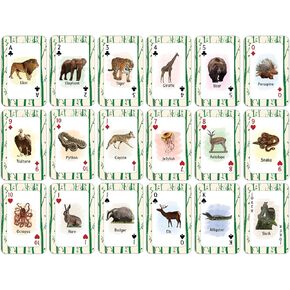 Creanoso Phonics Vowel Sounds Learning Cards for Boys Girls (2-Deck) – Learning Day Care Classroom Nursery Home Teaching Supplementary Educational Card Pack for Parent Teachers Boys Girls