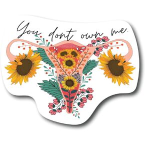 You Don't Own Me Sticker Decal Activist Feminist Woman Mom Empowering Feminism Girl Power Empowerment Influential My Body My Choice Political Social Justice Supreme Health Rights CS1409-2PK