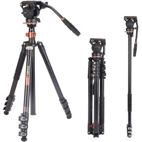Cayer AF2451 Professional Video Camera Tripod, 67 inches Aluminimum Tripod with Fluid Drag Head, Convertible to Monopod, Max Loading 13.2 LB for DSLR Camera, Video Camcorder