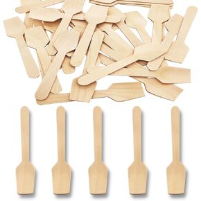 Mini Wooden Spoons, 200 Pcs 4 Inch Disposable Wooden Dessert Spoons, Biodegradable Compostable Birchwood