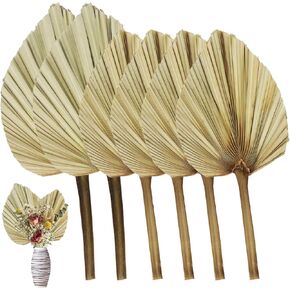 Dried Palm Leaves 6 Pcs Natural Dried Real Palm Fans Boho Palm Leaves Decor Dried Palm Leaves with Stem for Boho Wedding Party Home Decor