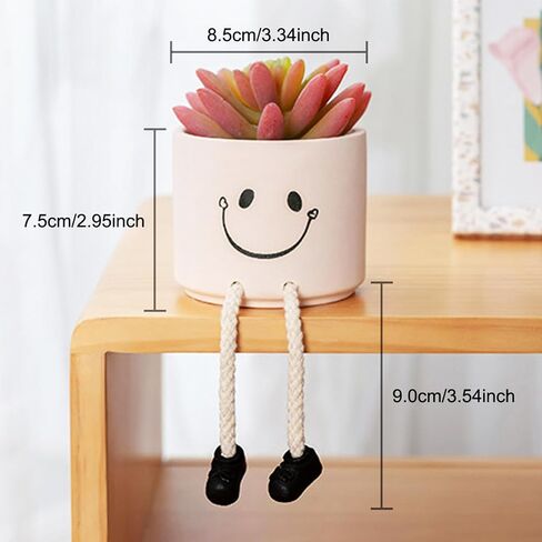 Fake Plants, Small Artificial Plant Indoor, Plant Pot for Home, Bathroom, Wall, Bedroom, Living Room, Kitchen, Succulents Plants Live Aesthetic Decor or Pen Holder (B) in Saudi Arabia