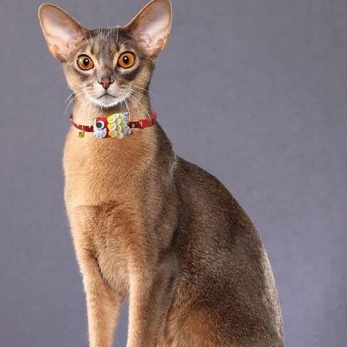 Cat Collar with Bells Personalized Dog Collars Adjustable Length Suitable for Small Medium Pet Cats Dogs Puppies for Walking & Running Training in Kuwait