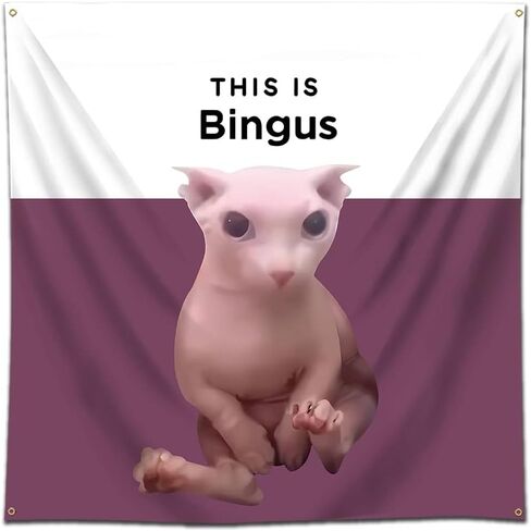 Arbinger مضحك هذا هو Bingus القط نسيج العلم الجدار الشنق نسيج 4x4ft لغرفة المعيشة سجادة غرفة المعيشة Kawaii جدار ديكور in Kuwait