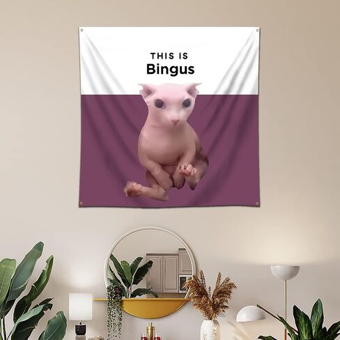 Arbinger مضحك هذا هو Bingus القط نسيج العلم الجدار الشنق نسيج 4x4ft لغرفة المعيشة سجادة غرفة المعيشة Kawaii جدار ديكور in Kuwait