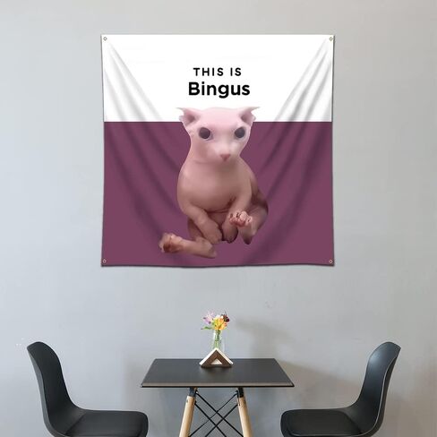 Arbinger مضحك هذا هو Bingus القط نسيج العلم الجدار الشنق نسيج 4x4ft لغرفة المعيشة سجادة غرفة المعيشة Kawaii جدار ديكور in Kuwait