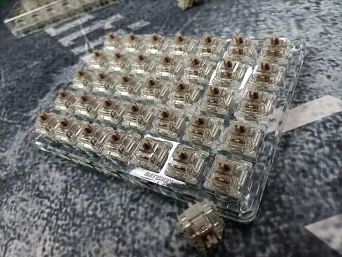 GATERON Baby Racoon 2.0 Keyboard Switches, RGB LED Linear Lengthen Stem 5 Pins Factory Pre-lubed 55gf 20mm Spring Key Switches for MX Mechanical Keyboards(35PCS) in Saudi Arabia