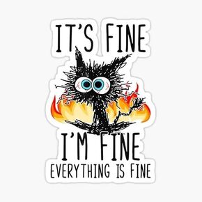 Authntcestore- (Pack of 2) Funny Blancas It's Fine I'm Fine Everything is Fine Sticker Bumper Sticker Vinyl Decal for Window| Car | Motorcycle | Truck | Laptop | Any Smooth Surface | Size: 3" Each