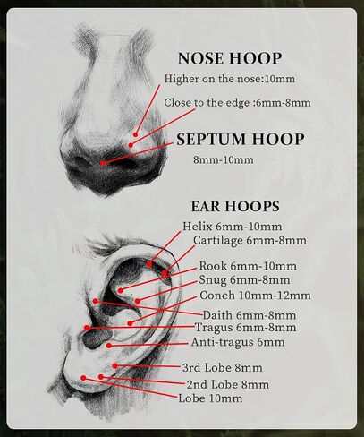 Vegolita 14G 16G 18G 20G 316L Stainless Steel Hinged Nose Rings Hoop for Women Men Septum Clicker Hinged Segment Ring Cartilage Helix Tragus Earring Lip Rook Conch Hoop 6-14MM in Kuwait