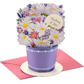 Hallmark Paper Wonder Pop Up Card (Daisy Flower Bouquet) for Mother's Day, Spring, Birthday, Thinking of You, Congrats, or Any Occasion