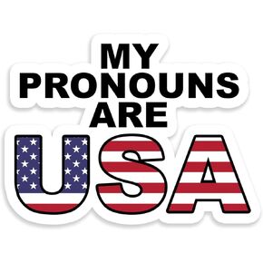 My Pronouns are USA Sticker Decal Notebook Car Laptop 5.5"x4.25" (Color)