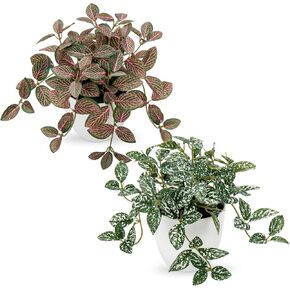 Hollyone Fake Plants 2 Packs Artificial Plants Indoor Faux Plants with White Plastic Pot Small Fake Potted Plant for Home Aesthetic Living Room Bathroom Desk Shelf Office Decor