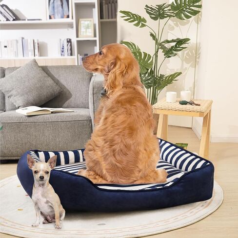 Dog Bed Medium Size Dog, Large Dog Beds with Orthopedic Memory Foam Dog Beds, Pet Beds for Large Dogs, Dog Bed with Removable Washable Cover, Blue & White Color, M, 35" L X 27" W X 6" Th in Saudi Arabia