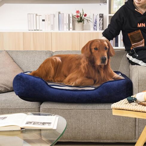 Dog Bed Medium Size Dog, Large Dog Beds with Orthopedic Memory Foam Dog Beds, Pet Beds for Large Dogs, Dog Bed with Removable Washable Cover, Blue & White Color, M, 35" L X 27" W X 6" Th in Saudi Arabia