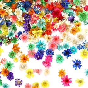 MARFOREVER 420 Pieces Small Dried Flowers for Crafts, Real Natural Mini Dried Flowers Dried Pressed Flowers Bulk for DIY Nail Art, Resin Candles Making, Scrapbooking, Home Daily Decoration