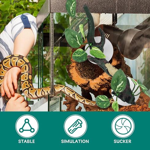 فرع زاوية الزواحف، ديكور فرع شجرة تسلق الراتنج مع أوراق الشجر، زخرفة نبات تررم مع كوب شفط لتسلق ثعبان السحلية والتنين أبو بريص (1، فرع التسلق ب) in Kuwait