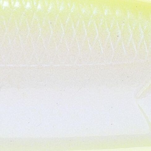 Strike King KVD Elite 200 Jerkbait in Saudi Arabia
