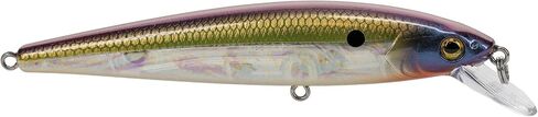 Strike King KVD Elite 200 Jerkbait in Saudi Arabia