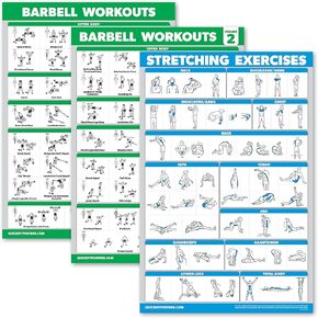 Palace Learning 3 Pack - Barbell Workout Posters Volume 1 & 2 + Stretching Exercise Chart - Set of 3 Posters