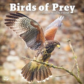 Turner Photographic Birds of Prey 12X12 Photo Wall Calendar (24998013005)