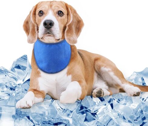 Dog Cooling Bandana Neck Ice Wrap, Instant Cooling Pet Scarf for Summer Hot Weather, Adjustable Breathable Reusable Scarf for Outdoor and Indoor Use, Avoid Heat Stroke, Large(Blue) in Saudi Arabia