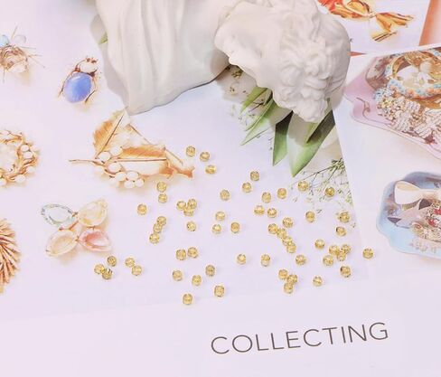 Glass Seed Beads Penta Angel 50g Mini Round Craft Loose Spacer Pony Beads for Earring Bracelets Necklace Waist Beads Jewelry Making (Champagne, 2mm) in Saudi Arabia