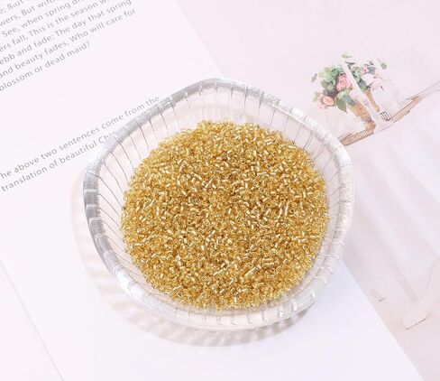 Glass Seed Beads Penta Angel 50g Mini Round Craft Loose Spacer Pony Beads for Earring Bracelets Necklace Waist Beads Jewelry Making (Champagne, 2mm) in Saudi Arabia