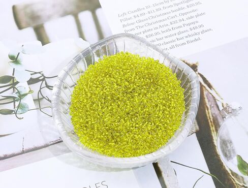 Glass Seed Beads Penta Angel 50g Mini Round Craft Loose Spacer Pony Beads for Earring Bracelets Necklace Waist Beads Jewelry Making (Champagne, 2mm) in Saudi Arabia