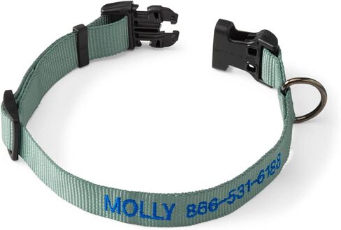 Orvis Dog Adjustable Collar, Salmon - Medium in Saudi Arabia