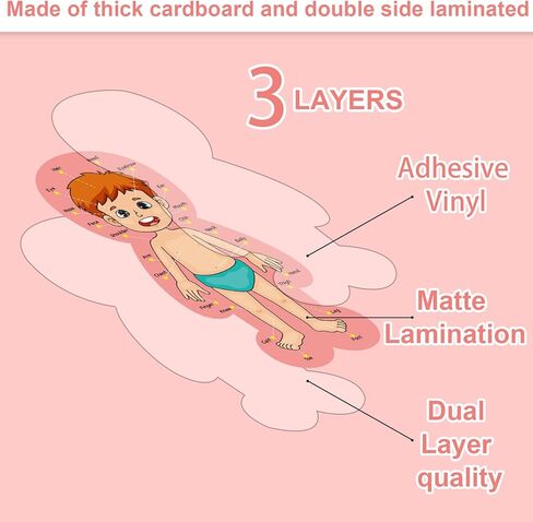 مجموعة لوحة إعلانات جسم الإنسان، ملصقات تعليمية تعليمية لجسم الإنسان، مقاس 11 × 24 بوصة، ديكور للفصل الدراسي للمعلمين، مخطط تعلم أجزاء الجسم للمدرسة، لوحة إعلانات للفصل الدراسي، ديكور المكتب in Kuwait