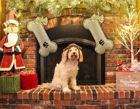 جوارب عيد الميلاد على شكل عظمة الكلب من DYSHAYEN، جوارب من الخيش للكلاب الأليفة في عيد الميلاد المجيد، زينة للحيوانات الأليفة (مخلب الكلب) in Kuwait