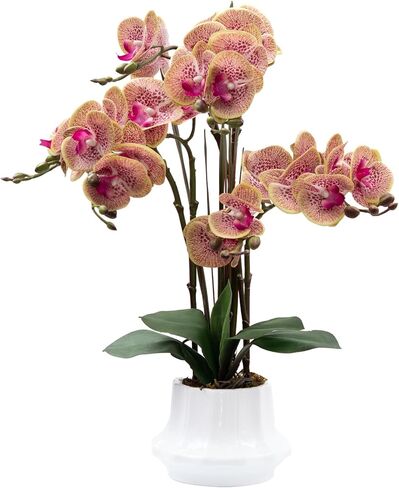 Artificial Orchid Flower Plant 20.9'' Real Touch Faux Orchids in Ceramic Vase Pink Fake Phalaenopsis Flower Arrangement Silk Orchids with Stems for Centerpiece Table Home Indoor Decor in Saudi Arabia