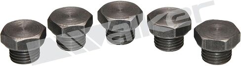 منتجات Walker 90-204P مستشعر الأوكسجين Bung Plug الفولاذ الطري خيوط 12 مم - عبوة (5 قطع) in Saudi Arabia