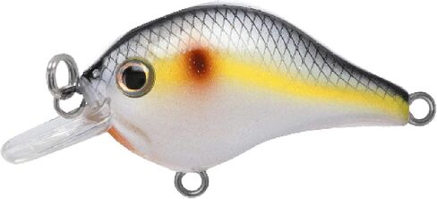 BILL LEWIS Gnat Micro-Crankbait Lifelike Fishing Lure 1.5" Length 1/8 Oz in Kuwait