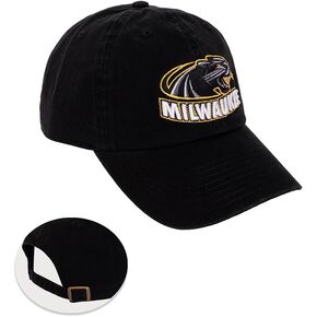 Desert Cactus University of Wisconsin Milwaukee Baseball Hat UWM Panthers Brimmed Embroirderd Cap Adjustable Cloth Strap Adult (Style A) Black