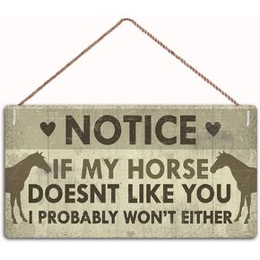Please Do Not Throw Anything in The Toilet Other Than Toilet Paper Sign Home Decor Wood Sign Plaque 12" X 6" Hanging Wall Art, Decorative Funny Sign(FC1-MBH135