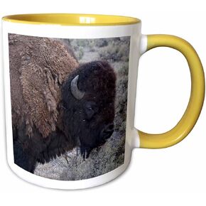 كوب 3dRose Tucson Arizona ذو لونين، 11 أونصة، أسود in Kuwait