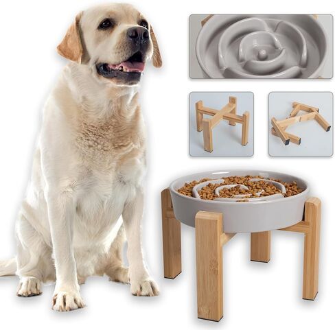 Elevated Slow Feeder Dog Bowl - Raised Ceramic Dog Bowls with Anti-Slip Stand - Puzzle Maze Dog Food Bowl for Fast Eaters - Heavy Big Dog Dish - Designed for Medium and Large Dogs - Grey - 8.8 inch in Kuwait