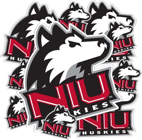 Desert Cactus Northern Illinois University Stickers NIU Huskies Vinyl Decals Laptop Water Bottle Car Scrapbook T3 (Type 3-1) in Saudi Arabia