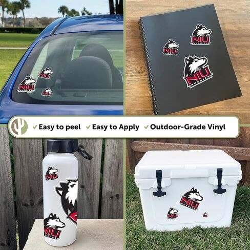Desert Cactus Northern Illinois University Stickers NIU Huskies Vinyl Decals Laptop Water Bottle Car Scrapbook T3 (Type 3-1) in Saudi Arabia
