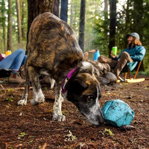 Ruffwear, Gnawt-a-Rock Durable Dog Toy, Sockeye Red in Saudi Arabia