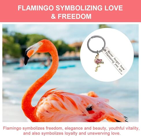 Motivational Keychain - Flamingo Keychain - Encouragement Keyrings - Stainless Steel Keychain with Wish Card Gift Box Blessing Keychain Inspirational Gifts for Women Girl Men Boy in Saudi Arabia