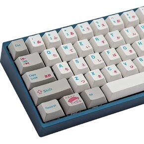 Hyekit PBT Keycaps 124 Keys Sushi Custom Keycaps Dye-Sublimation 7U and 6.25U Spacebar Keycap Set Cherry Profile for Cherry Gateron MX Switches Mechanical Keyboard US Layouts