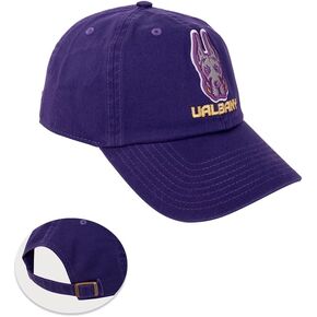 Desert Cactus University at Albany Baseball Hat Great Danes UAlbany SUNY Brimmed Embroirderd Cap Adjustable Cloth Strap Adult (Style A) Purple