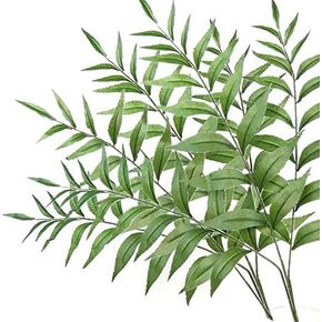Olivachel Artificial Willow Leaves Twigs Fake Shrubs Plant Silk Eucalyptus Greenery Leaves Perfect Material for Floral Bouquet Home and Party Decor (Green, 10Pcs/Pack)