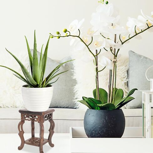 Oriental Plant Stand:Cabilock Wooden Plant Stand Indoor Outdoor Vintage Display Base Flower Pot Holder Buddha Statue Jewelry Figurine Riser Platform for Multiple Plants Corner Tall Flower Holders in Saudi Arabia